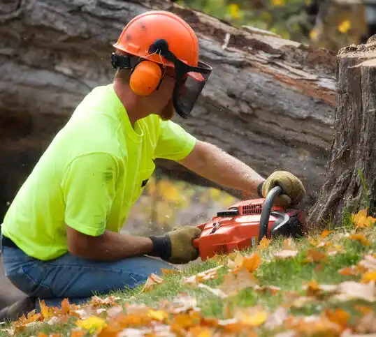 tree services Linwood